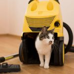 Regular Vs. Pet Vacuum Cleaners