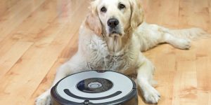 Pet Vacuums Remove Pet Odors